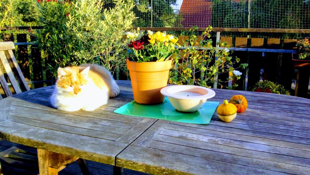 Janosch als Herbstdeko